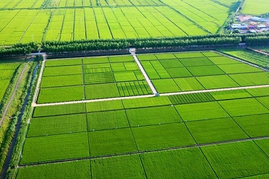 山东省农田整治工程